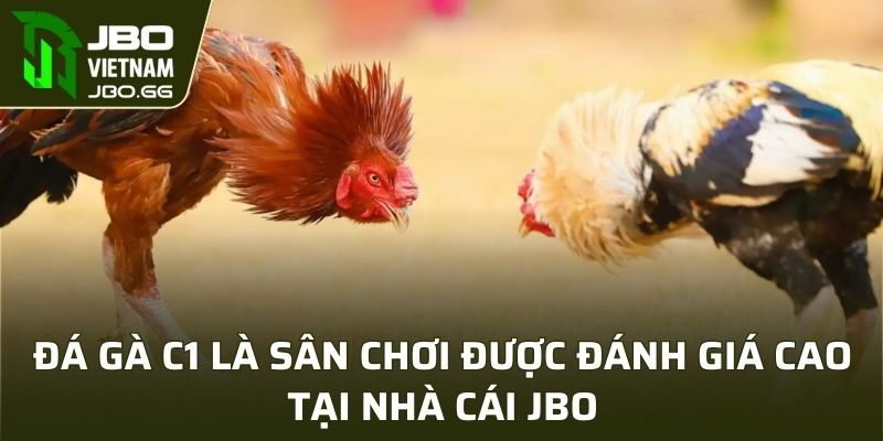 Đá gà C1 là sân chơi được đánh giá cao tại JBO